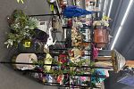Sale Photo Thumbnail #26