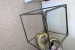 Sale Photo Thumbnail #33