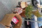 Sale Photo Thumbnail #20