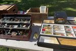 Sale Photo Thumbnail #7