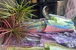 Sale Photo Thumbnail #36