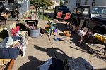 Sale Photo Thumbnail #5