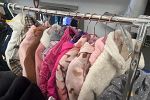 Sale Photo Thumbnail #22