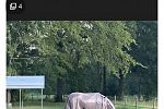Sale Photo Thumbnail #16