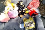 Sale Photo Thumbnail #15