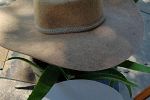 Sale Photo Thumbnail #33