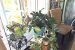 Sale Photo Thumbnail #38
