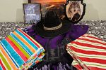 Sale Photo Thumbnail #10