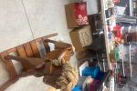 Sale Photo Thumbnail #10