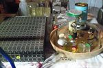 Sale Photo Thumbnail #18