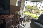 Sale Photo Thumbnail #40