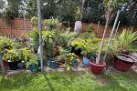 Sale Photo Thumbnail #30