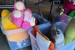 Sale Photo Thumbnail #11