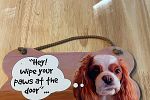 Sale Photo Thumbnail #49