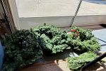 Sale Photo Thumbnail #20