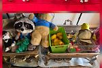Sale Photo Thumbnail #29
