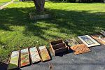 Sale Photo Thumbnail #12