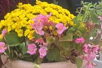 Sale Photo Thumbnail #42