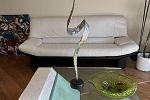 Sale Photo Thumbnail #41