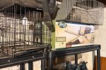 Sale Photo Thumbnail #42