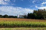 Sale Photo Thumbnail #45