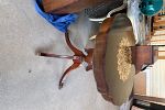 Sale Photo Thumbnail #18