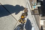 Sale Photo Thumbnail #5
