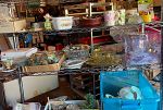 Sale Photo Thumbnail #11