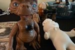 Sale Photo Thumbnail #37
