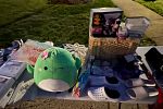 Sale Photo Thumbnail #10