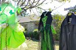 Sale Photo Thumbnail #15
