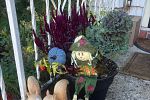 Sale Photo Thumbnail #26