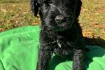 Sale Photo Thumbnail #3