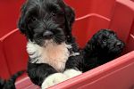 Sale Photo Thumbnail #13