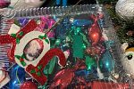 Sale Photo Thumbnail #153