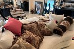 Sale Photo Thumbnail #101