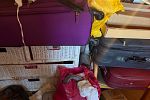 Sale Photo Thumbnail #43