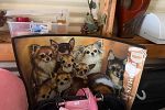 Sale Photo Thumbnail #41