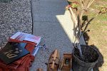 Sale Photo Thumbnail #19