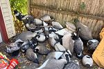 Sale Photo Thumbnail #38