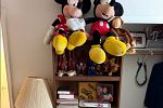 Sale Photo Thumbnail #35