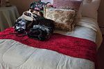 Sale Photo Thumbnail #22