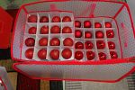 Sale Photo Thumbnail #12