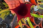 Sale Photo Thumbnail #27