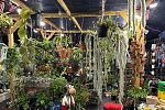 Sale Photo Thumbnail #33