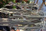 Sale Photo Thumbnail #36