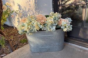 LAST DAY - Moving Sale