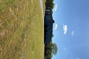 4 family sale -4/18/2026