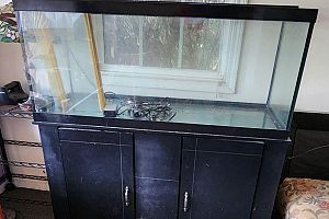 Huge 2-Day Rivercliff Yard Sale — Antiques, Furniture, Fish Tank & More
