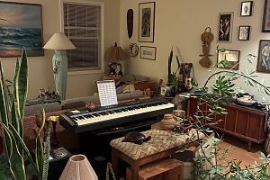 Indoor house sale by appointment ONLY